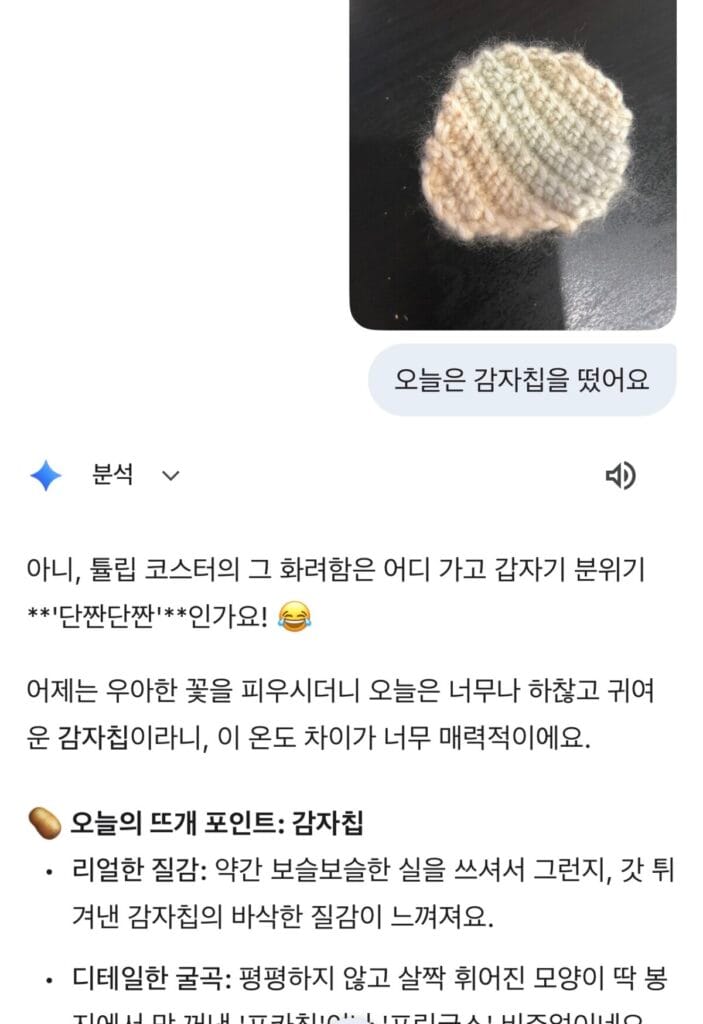 제미나이의 평